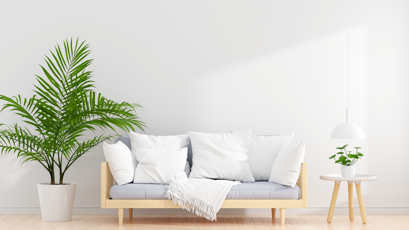 Ce trebuie sa stii inainte de cumpararea vopselei lavabile?