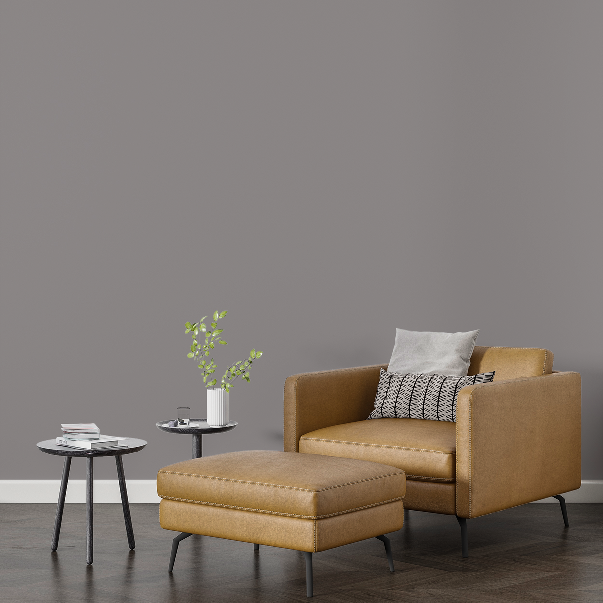 Vopsea Lavabila, Soft Alloy, CM-AN.02.55