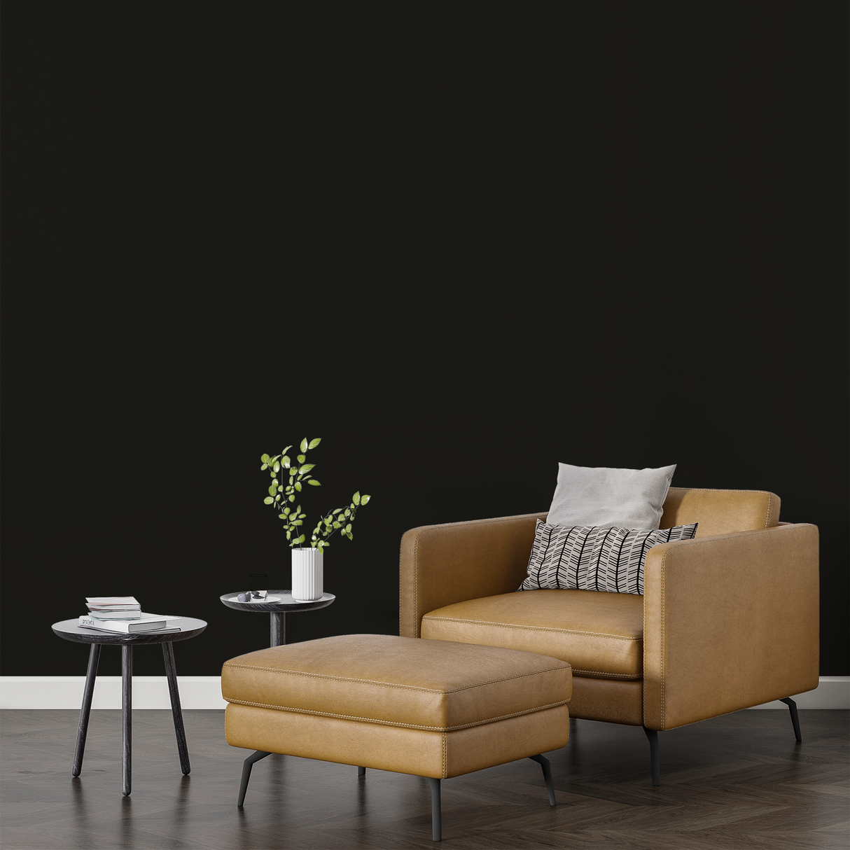 Vopsea Lavabila, Shadow Earth, CM-C2.04.06