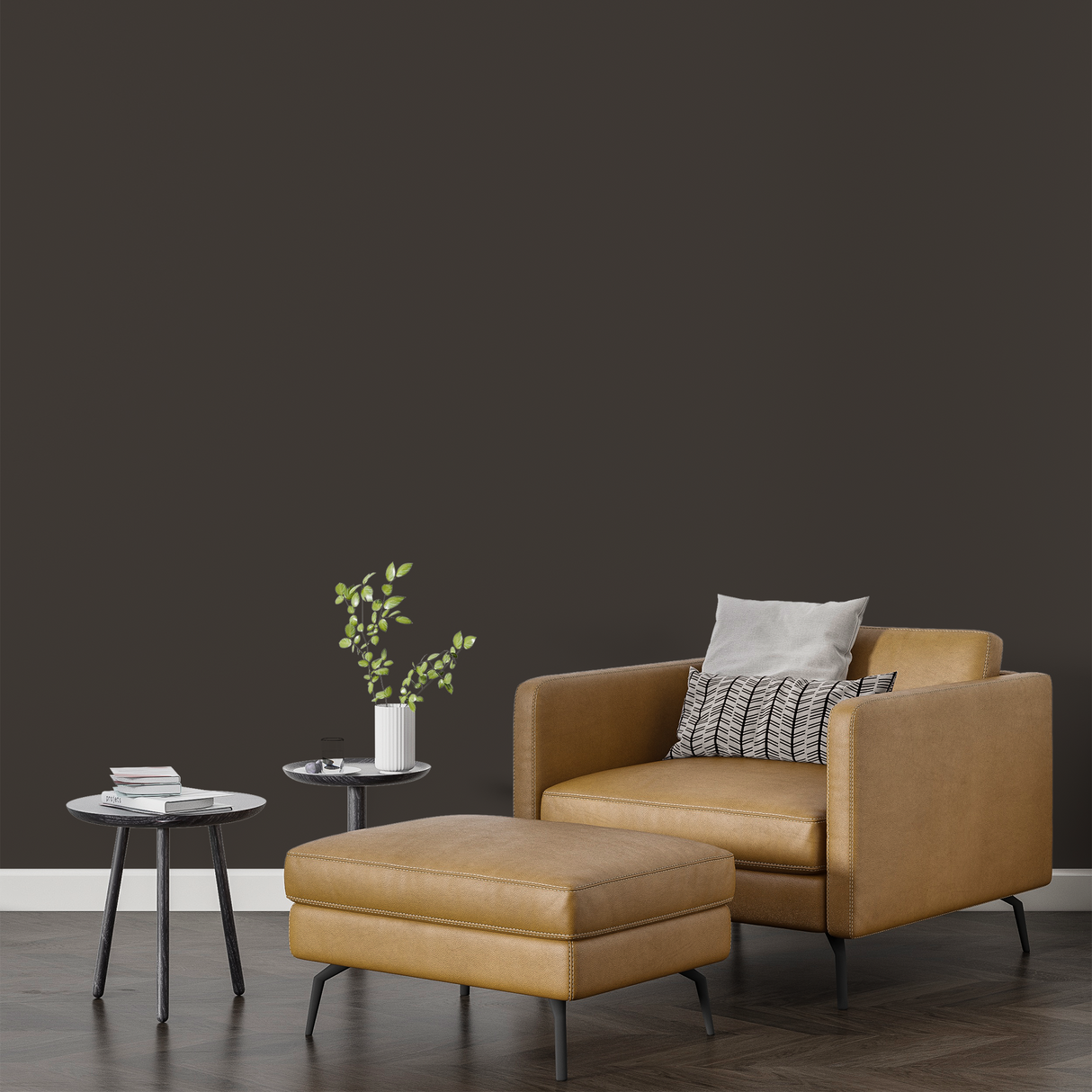 Vopsea Lavabila, Dust Iron, CM-E8.05.20