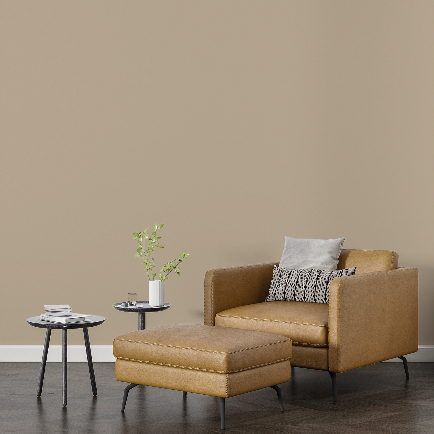 Vopsea Lavabila, Cloud Birch, CM-F6.10.70