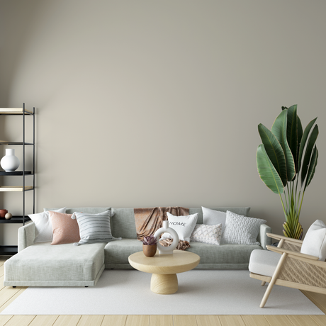 Vopsea Lavabila, Vanilla Silk, CM-G0.05.80