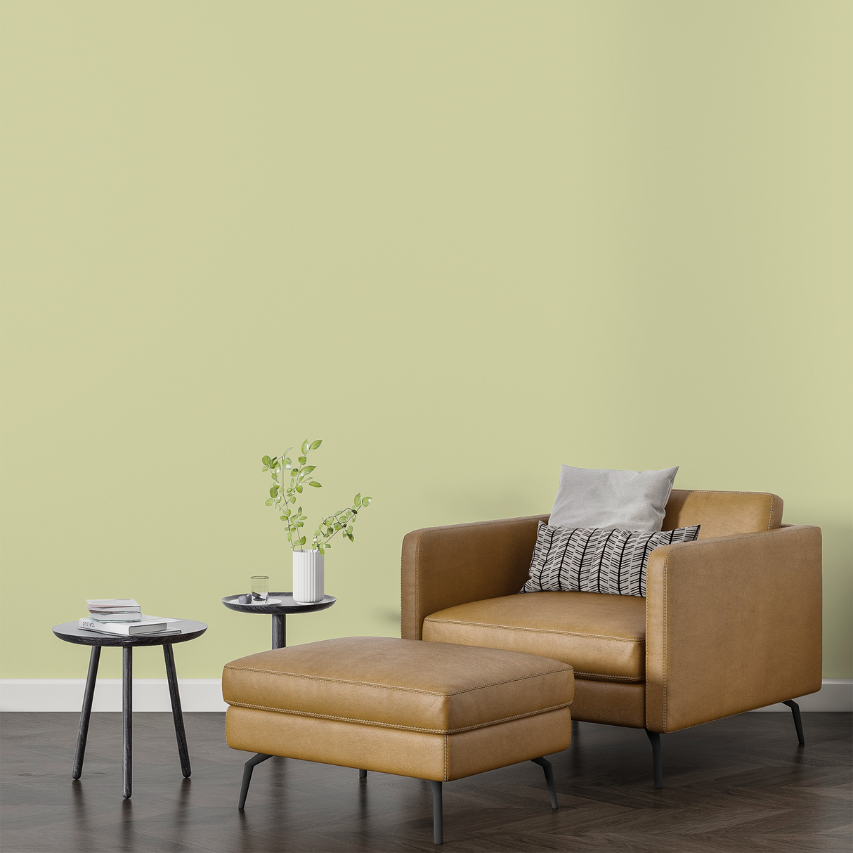 Vopsea Lavabila, Spring Fern, CM-H2.15.85