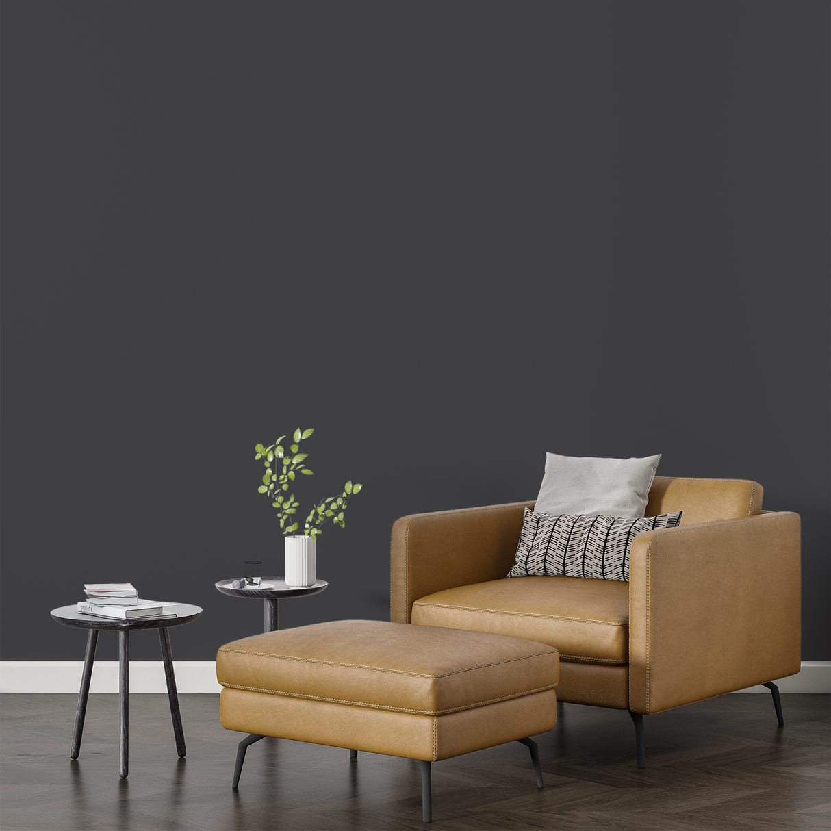 Vopsea Lavabila, Graphite Veil, CM-S5.03.16