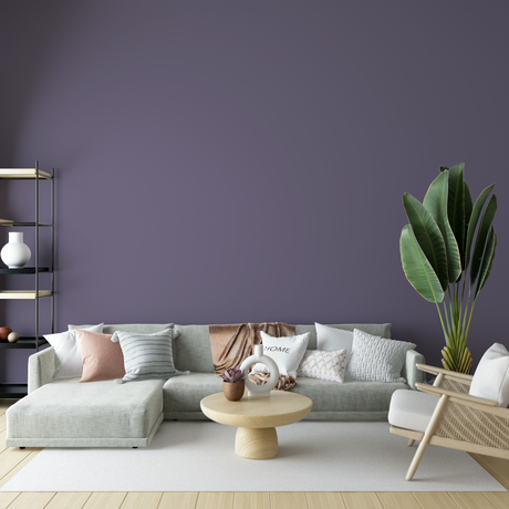 Vopsea Lavabila, Urban Violet, CM-W4.13.37
