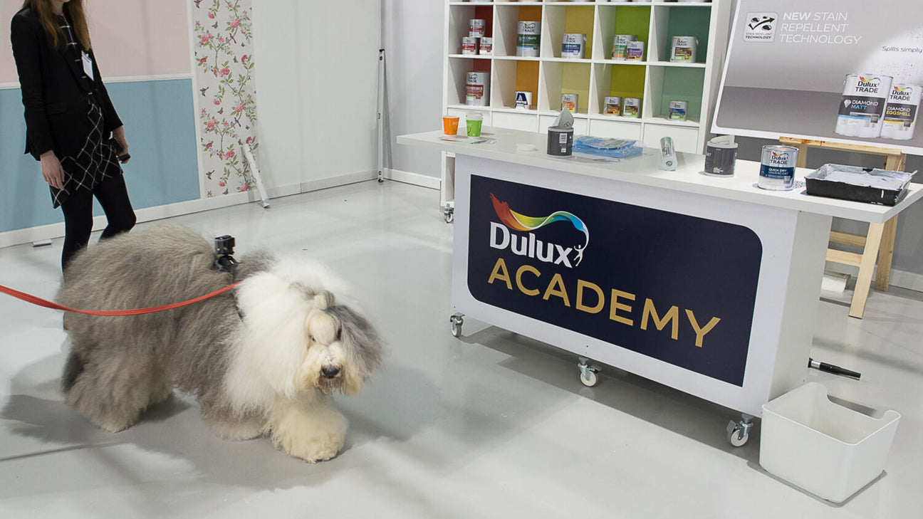 Dulux