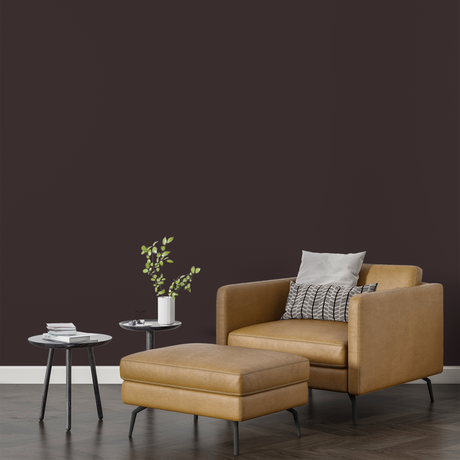 Vopsea Lavabila, Coffee Ash, CM-A0.05.15