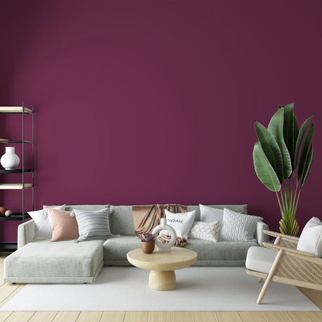 Vopsea Lavabila, Plum Terra, CM-A0.30.20