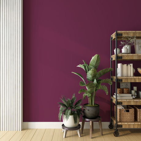 Vopsea Lavabila, Plum Terra, CM-A0.30.30