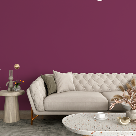 Vopsea Lavabila, Plum Terra, CM-A0.30.30