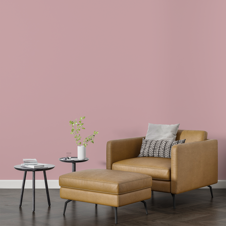 Vopsea Lavabila, Rose Sand, CM-A5.09.71