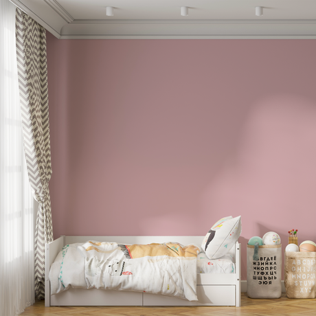 Vopsea Lavabila, Rose Sand, CM-A5.09.71