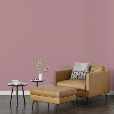 Vopsea Lavabila, Blush Velvet, CM-A5.11.61