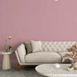 Vopsea Lavabila, Blush Velvet, CM-A5.11.61
