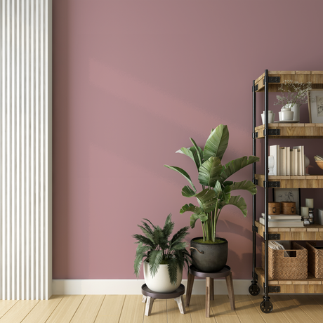 Vopsea Lavabila, Blush Velvet, CM-A5.11.61