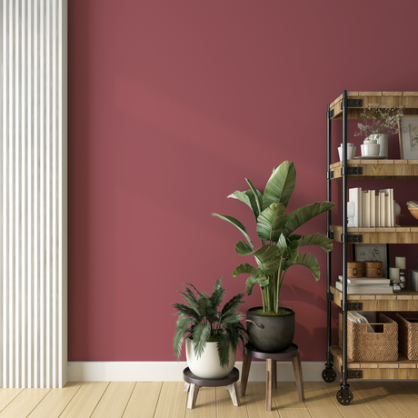 Vopsea Lavabila, Berry Ember, CM-A5.33.39