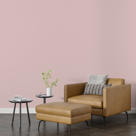 Vopsea Lavabila, Petal Dust, CM-B1.06.80