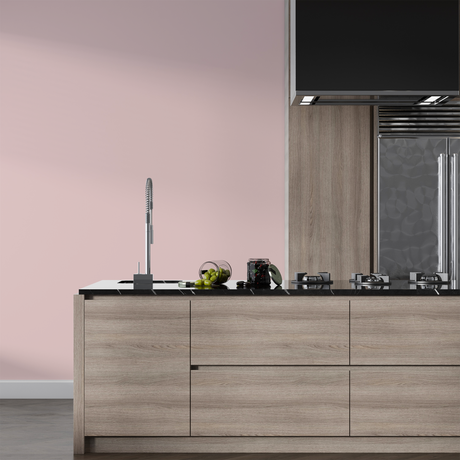 Vopsea Lavabila, Petal Dust, CM-B1.06.80