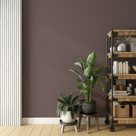 Vopsea Lavabila, Earth Umber, CM-B2.10.30