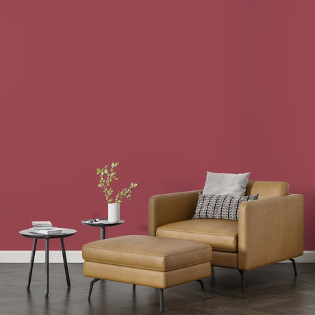 Vopsea Lavabila, Crimson Clay, CM-B2.36.38