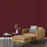 Vopsea Lavabila, Berry Clay, CM-B3.30.16