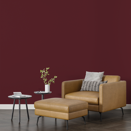 Vopsea Lavabila, Berry Clay, CM-B3.30.16