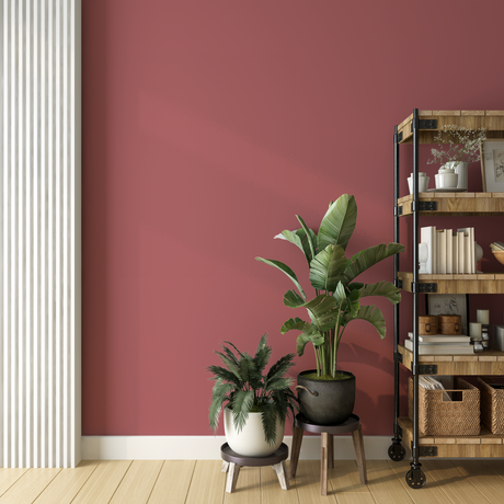 Vopsea Lavabila, Rose Clay, CM-B5.26.51