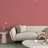 Vopsea Lavabila, Rose Clay, CM-B5.26.51