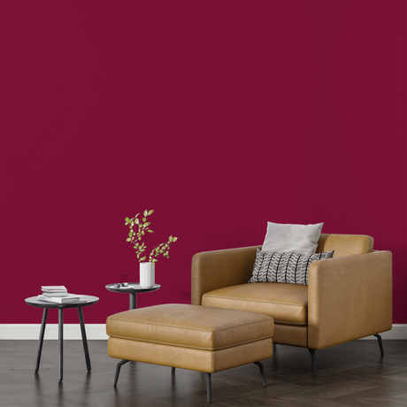 Vopsea Lavabila, Berry Husk, CM-B5.41.19