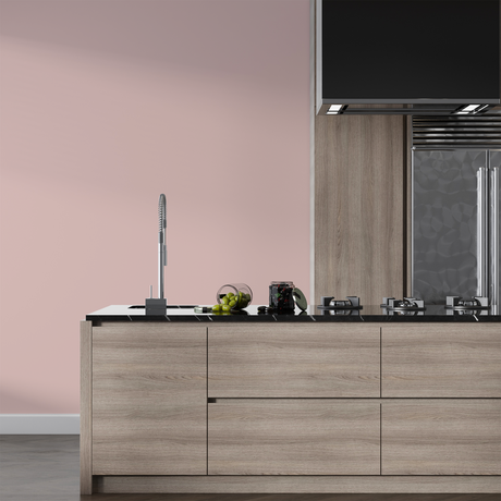 Vopsea Lavabila, Vintage Coral, CM-B6.07.74