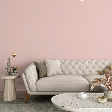 Vopsea Lavabila, Vintage Coral, CM-B6.07.74