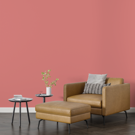 Vopsea Lavabila, Coral Rust, CM-B6.28.59