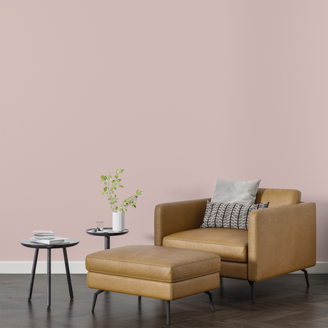 Vopsea Lavabila, Coral Whisper, CM-B7.06.78