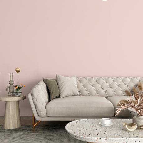 Vopsea Lavabila, Coral Whisper, CM-B7.06.78