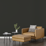 Vopsea Lavabila, Ashen Stone, CM-B9.04.17