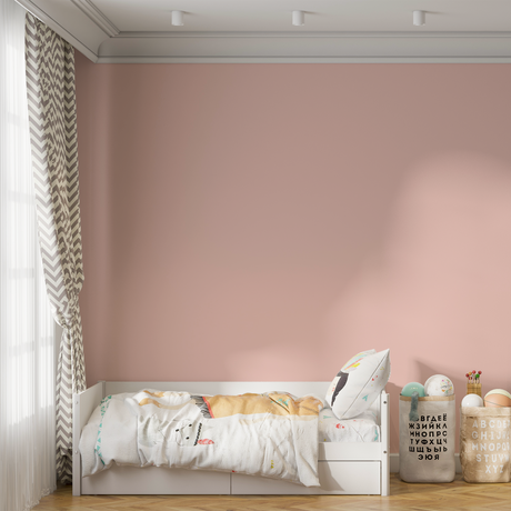 Vopsea Lavabila, Powder Kiss, CM-C0.08.80