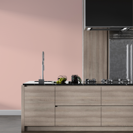 Vopsea Lavabila, Powder Kiss, CM-C0.08.80