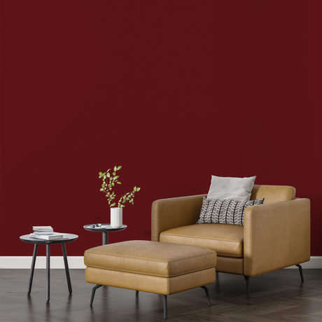 Vopsea Lavabila, Garnet Soil, CM-C0.48.20