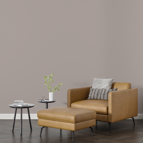 Vopsea Lavabila, Dust Thread, CM-C2.05.67