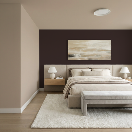 Set Vopsele Colorate Dark Walnut & Taupe Reed