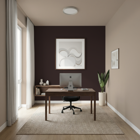 Set Vopsele Colorate Dark Walnut & Taupe Reed
