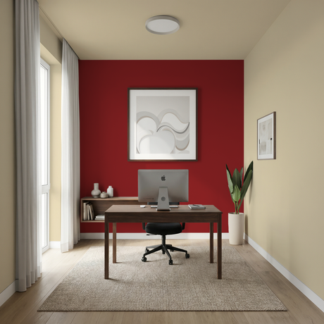 Set Vopsele Colorate Deep Carmine & Golden Haze