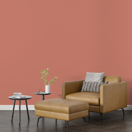 Vopsea Lavabila, Blush Terra, CM-C4.30.60