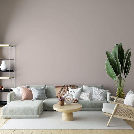 Vopsea Lavabila, Blush Cloud, CM-CN.02.81