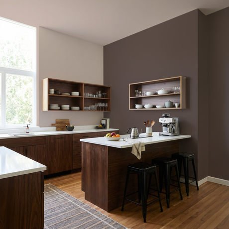 Set Vopsele Colorate Walnut Stone & Pale Earth