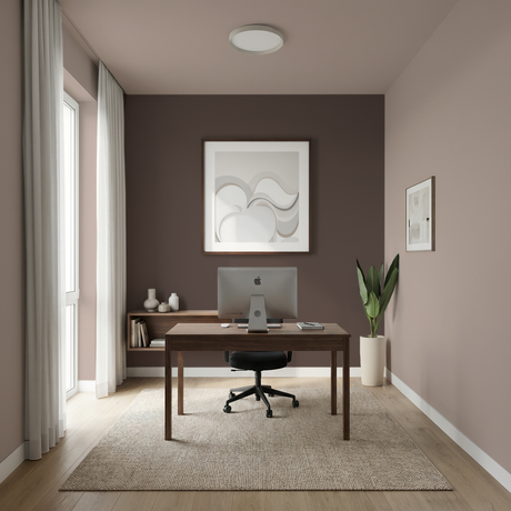 Set Vopsele Colorate Walnut Stone & Pale Earth