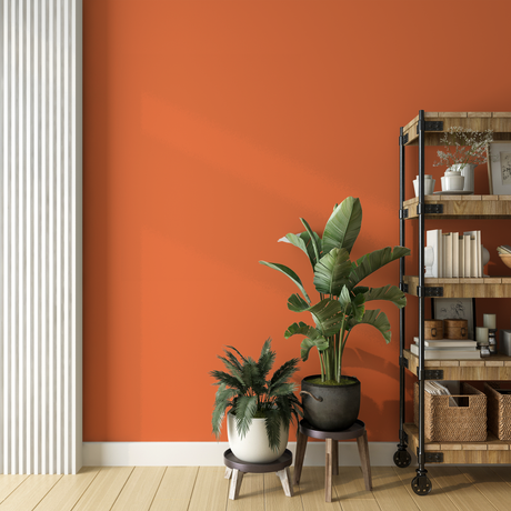 Vopsea Lavabila, Coral Ember, CM-D2.50.55