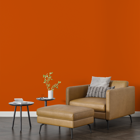 Vopsea Lavabila, Fire Ember, CM-D3.70.47