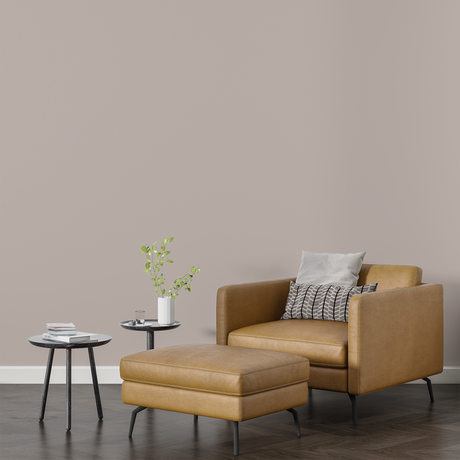 Vopsea Lavabila, Rose Dust, CM-D4.04.71