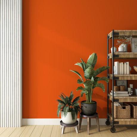 Vopsea Lavabila, Flame Burst, CM-D5.63.53